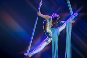 Sponsoring 20 Children to watch Circus Quirkus. A Charitable donation.